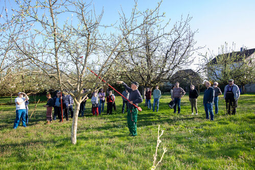 Fruehjahrsschnittkurs_20250404_0032.jpg