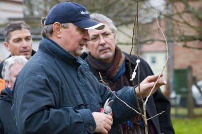 Fruehjahrsschnittkurs_2011_004.jpg