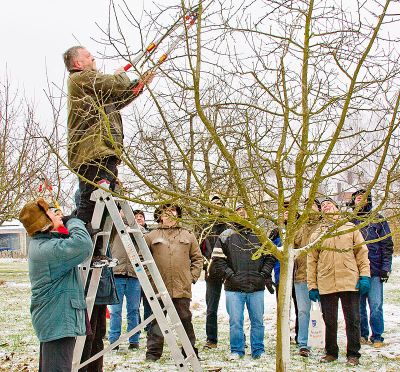 Fruehjahrsschnittkurs2013_011.jpg