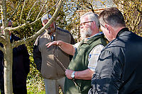 Fruehjahrsschnitt_20180407_0029.jpg