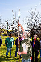Filename=Fruehjahrsschnitt_20180407_0059.jpg
Filesize=668KiB
Dimensions=1024x1536
Date added=Apr 14, 2018 Fruehjahrsschnitt_20180407_0059.jpg