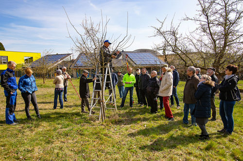 Fruehjahrsschnittkurs-2019_20190406_0046.jpg