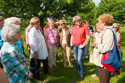 Kr_uterwanderung_20130701_0063.jpg