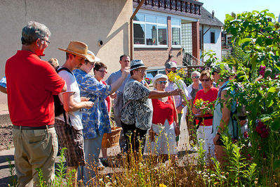 Kraeuterwanderung_20150706_0003.jpg