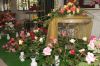 Filename=CRW_5052.jpg
Filesize=142KiB
Dimensions=800x533
Date added=Nov 22, 2015 CRW_5052.jpg