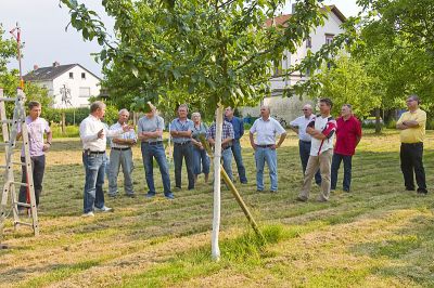 Sommersschnittkurs-Kuhn_2010-06_003.jpg