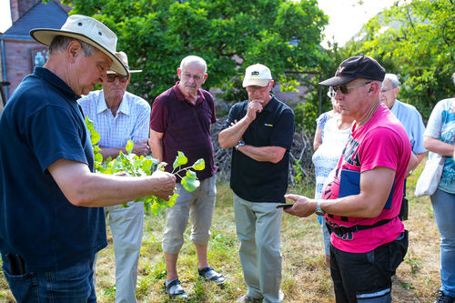 Sommerschnittkurs_20190705_0009.jpg